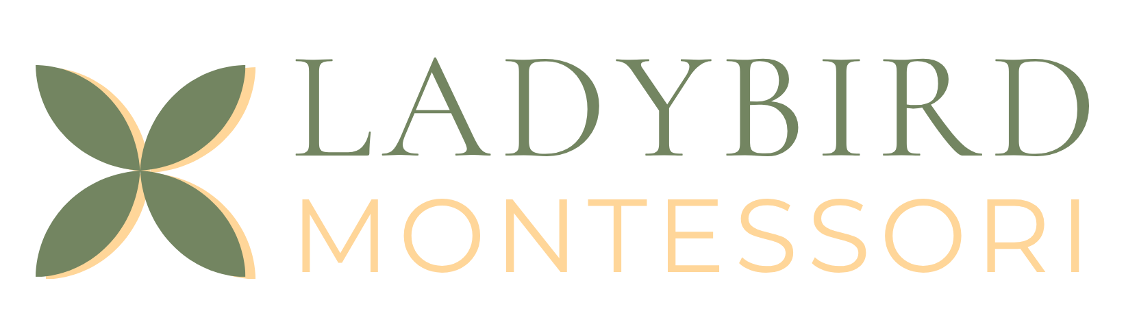 Ladybird Montessori School - Buda, TX | 8 Weeks to 8th Grade